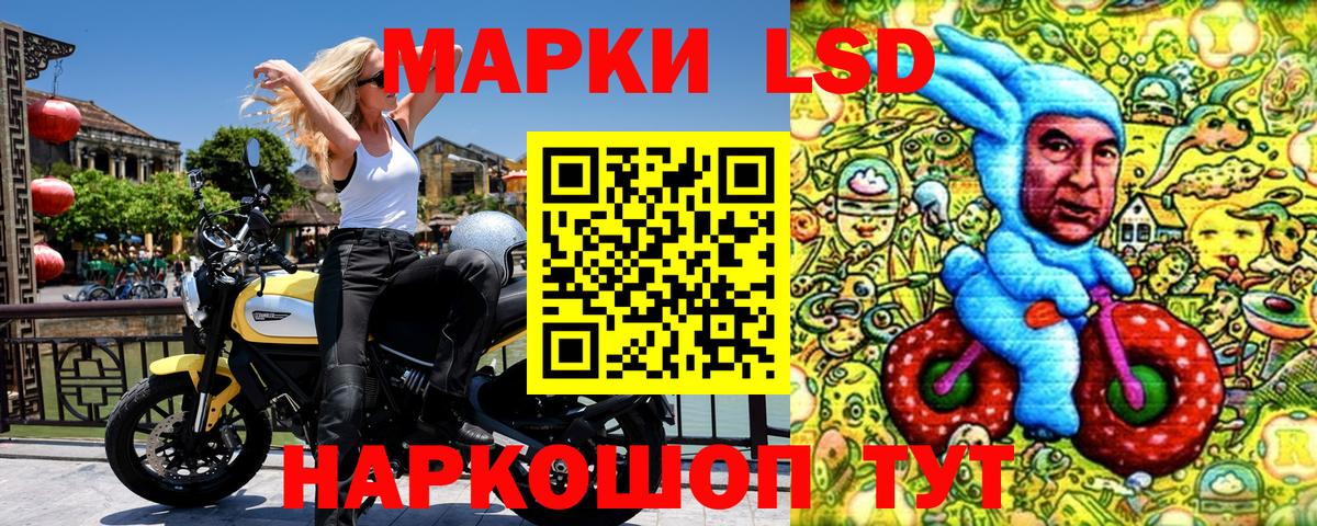 Кореновск  купить наркоту  Вход с VPN  Марки NBOMe 1500мкг  Марки NBOMe 1500мкг 