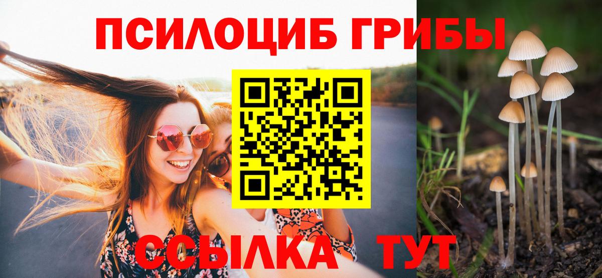 где купить   Галлюциногенные грибы Magic Shrooms  Вход с VPN  Галлюциногенные грибы прущие грибы  Кореновск 