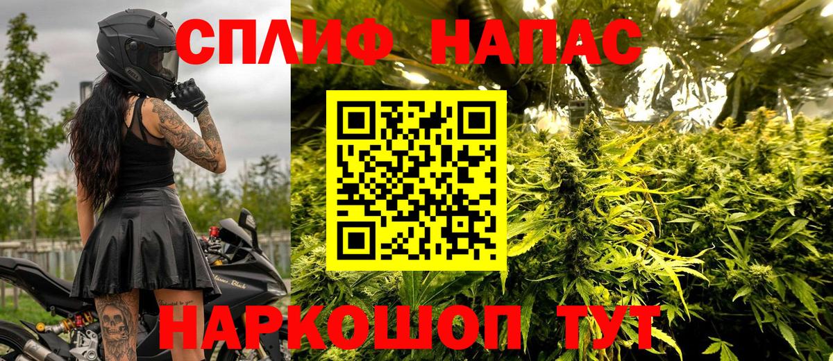 Канабис семена Кореновск